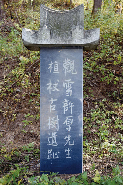 Image Description